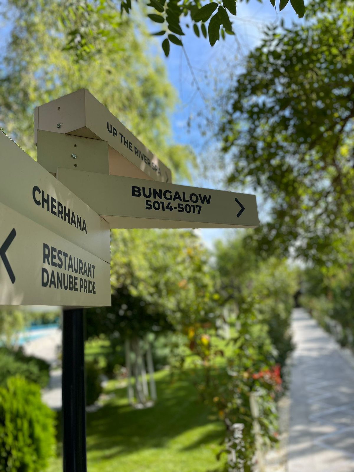 Lebăda Luxury Resort & Spa vă așteaptă, cu oferte unice, la masa de Crăciun și petrecerea de Revelion