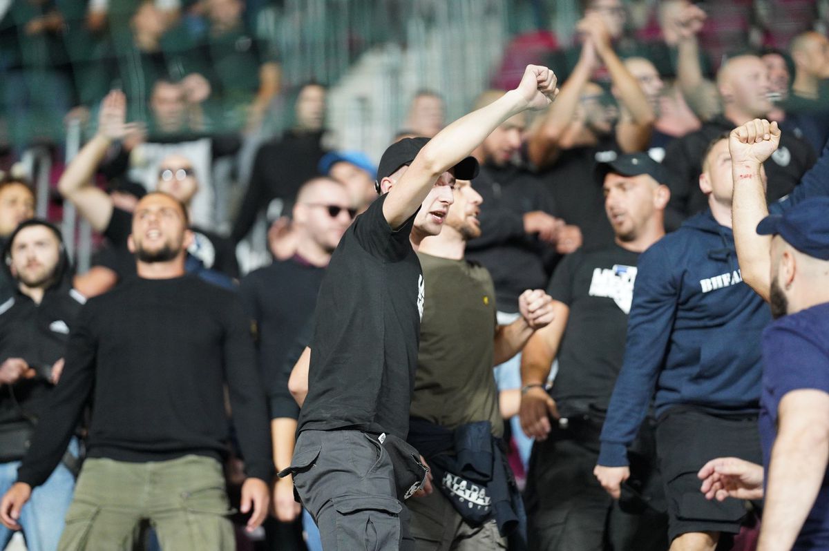 Bătaie pe arena din Giulești la meciul România - Bosnia