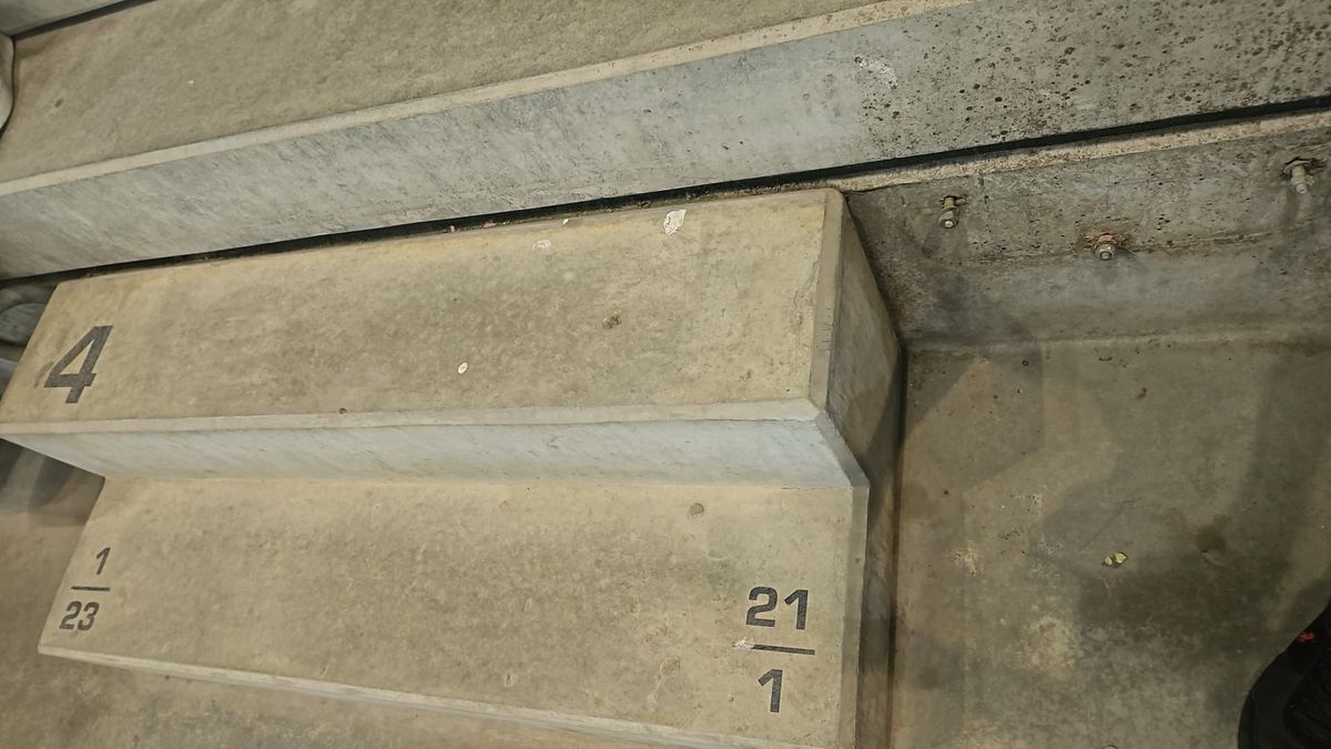 Ilie Dumitrescu, surprins de primul „11” ales de Becali cu RFS: „Sunt niște semne de întrebare”