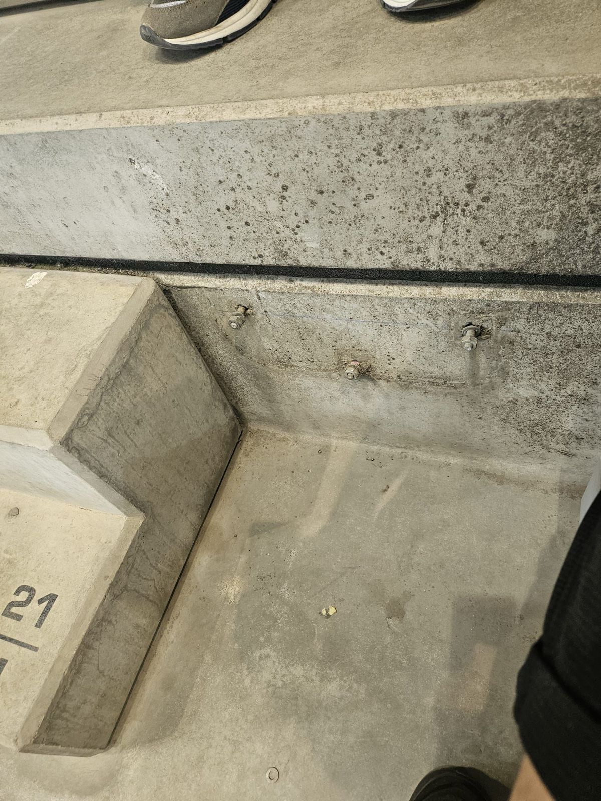 Ilie Dumitrescu, surprins de primul „11” ales de Becali cu RFS: „Sunt niște semne de întrebare”