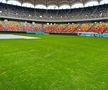 Starea gazonului de pe Arena Națională, înainte de Dinamo - FCSB