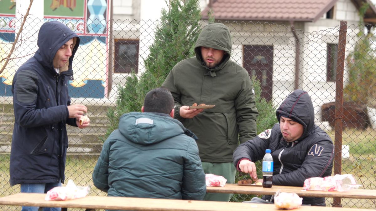 Vânătorul Rățoaia joacă cu mici și pastramă pe marginea terenului! „Uite-l și p-ăsta! Cu cerbul carpatin ne distrăm la maximum”