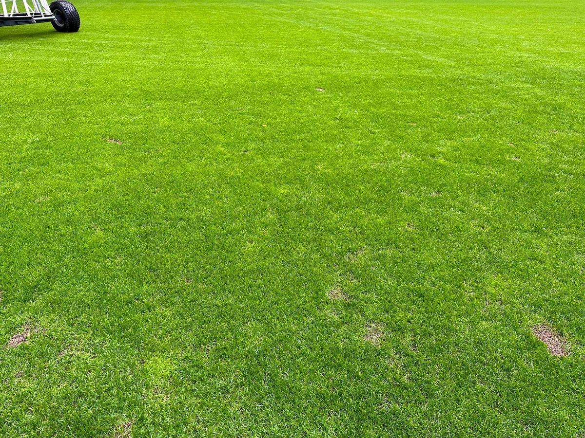 De ce nu se trage acoperișul la Arena Națională + Care e starea gazonului înainte de Dinamo - FCSB