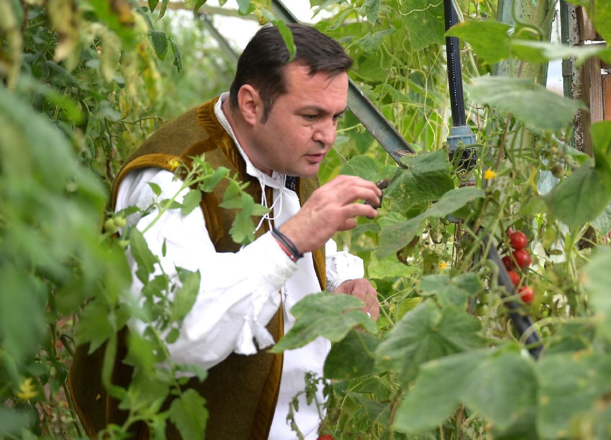 Cătălin Cherecheș, primarul condamnat din Baia Mare