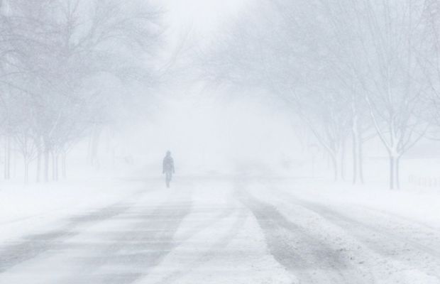 Au dat de urma carului de transmisie » Ce măsură au luat autoritățile din județele Buzău și Brăila după intervenția FRF