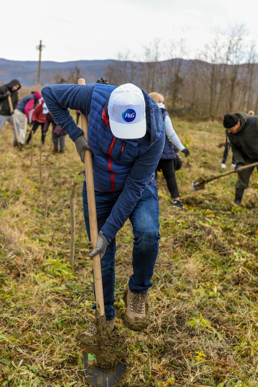 Peste 600 de copaci plantați de voluntarii P&G și Carrefour România pe Valea Buzăului