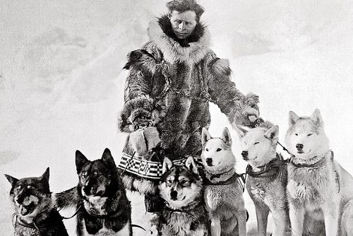 Leonhard Seppala și câinii săi