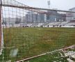 UPDATE / VIDEO. Suporterii și reprezentanții clubului Dinamo au curățat terenul de zăpadă » Cum arată gazonul