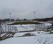 UPDATE / VIDEO. Suporterii și reprezentanții clubului Dinamo au curățat terenul de zăpadă » Cum arată gazonul