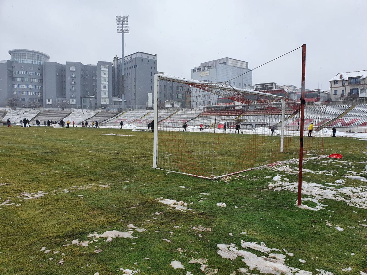 UPDATE / VIDEO. Suporterii și reprezentanții clubului Dinamo au curățat terenul de zăpadă » Cum arată gazonul