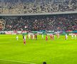 Dinamo - Rapid, întrerupt 2 minute și 50 de secunde pentru o „rachetă” aruncată pe teren (foto: Andrei Petrescu/GSP)