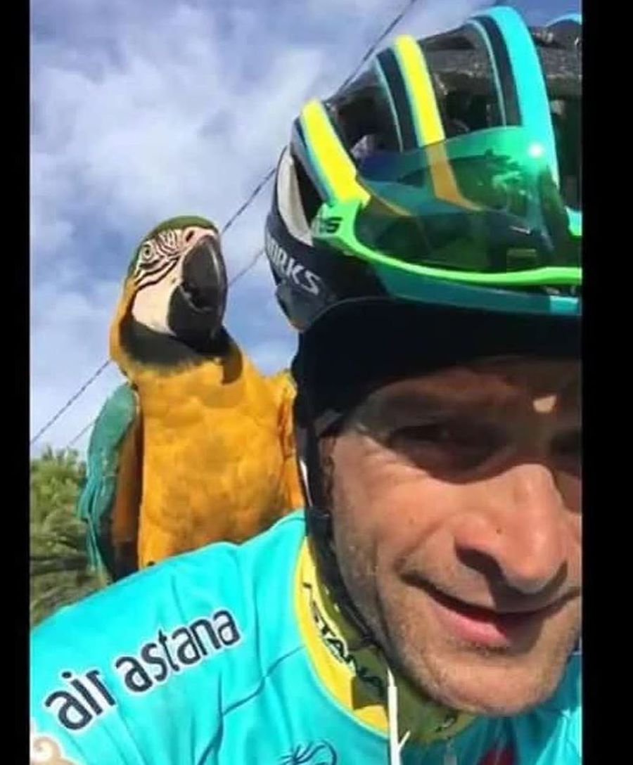 Mascota ciclistului decedat în mod tragic a avut aceeași soartă: „Vor zbura din nou împreună”