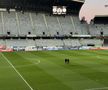 Imagini de la Universitatea Cluj - Oțelul Galați, etapa 28 - Superliga. Foto: David Istrate (GSP.RO)