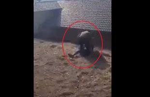 Un fost antrenor, filmat în timp ce bate un copil la stadion » E incredibil cum încearcă să-și motiveze violența: „Striga «m*** Dinamo» după mine!”