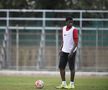 DINAMO // Patrick Ekeng