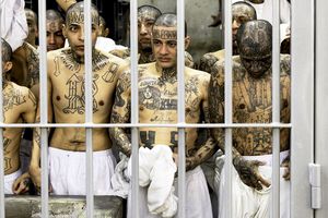 De necrezut: Jocurile Olimpice ale Cartelurilor, o competiție în care prizonierii luptă pe viață și pe moarte, spre amuzamentul personalităților din elita societății mexicane