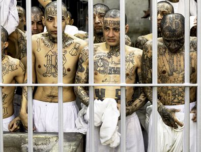 De necrezut: Jocurile Olimpice ale Cartelurilor, o competiție în care prizonierii luptă pe viață și pe moarte, spre amuzamentul personalităților din elita societății mexicane