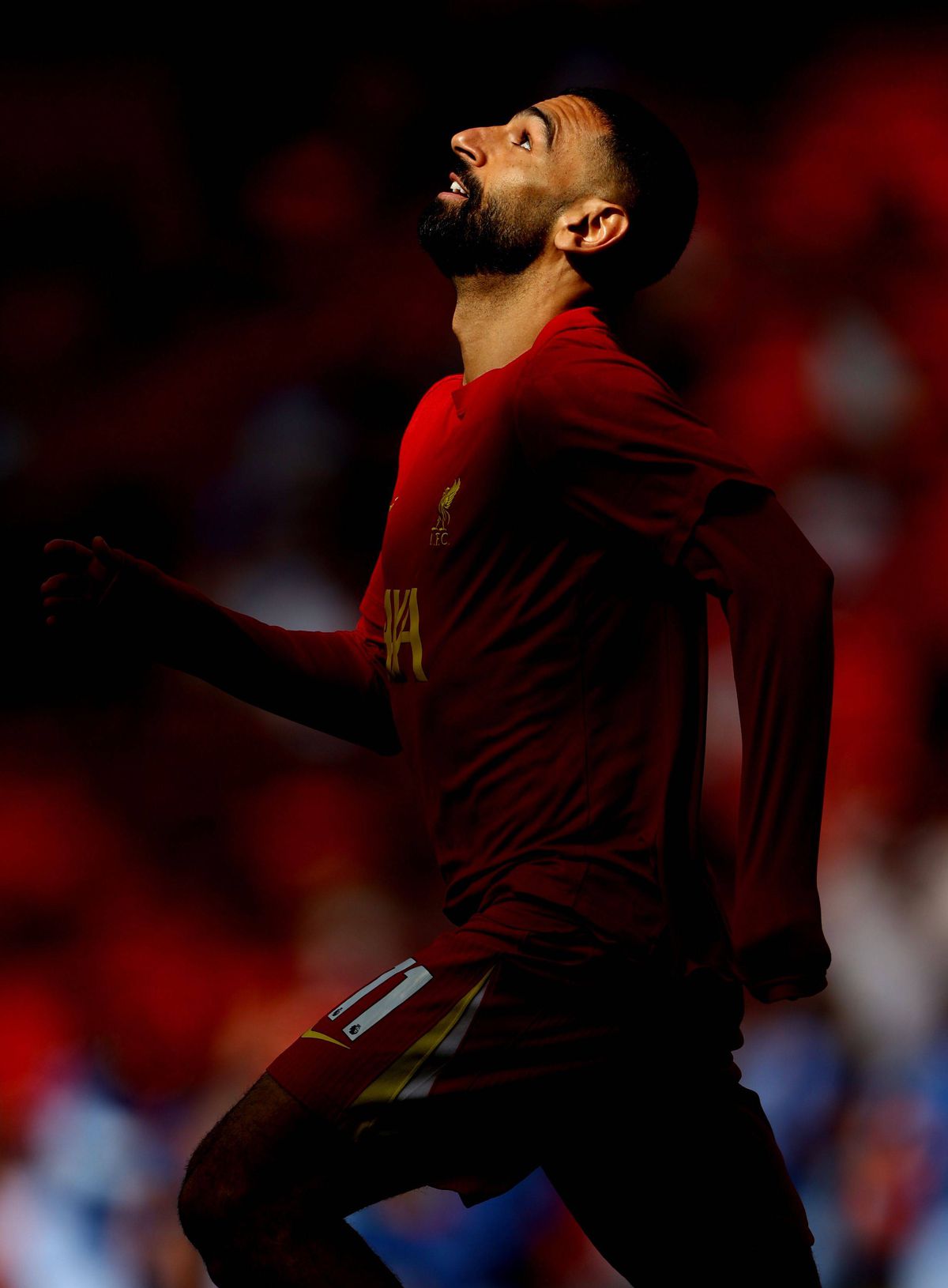 Liverpool este noua campioană a Angliei! „Cormoranii” i-au zdrobit pe cei de la Tottenham » Scene fabuloase pe Anfield