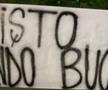 Bannere cu tentă rasistă în Dinamo - Rapid