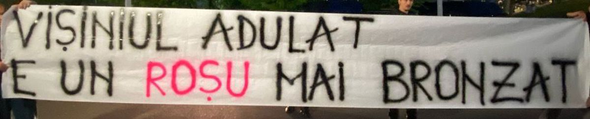 Bannere cu tentă rasistă în Dinamo - Rapid