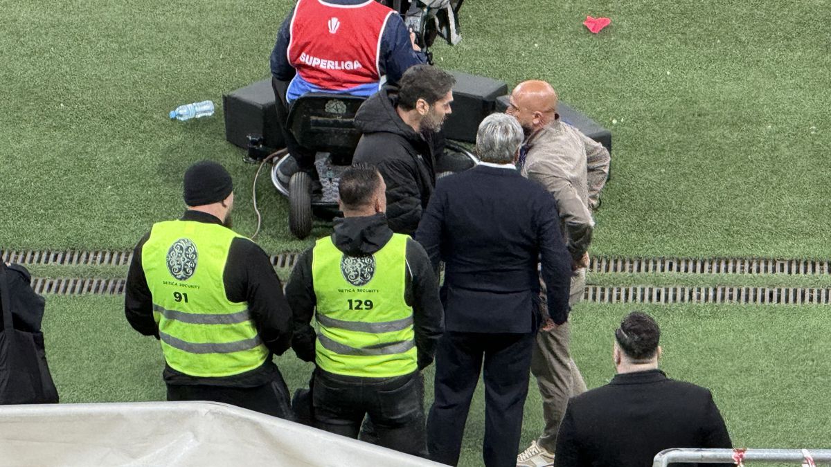 Viorel Anghelinei la Dinamo - Rapid