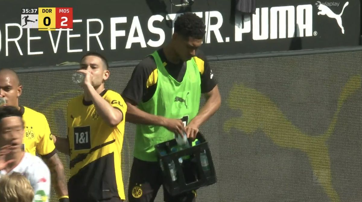 Borussia Dortmund - Mainz - meme