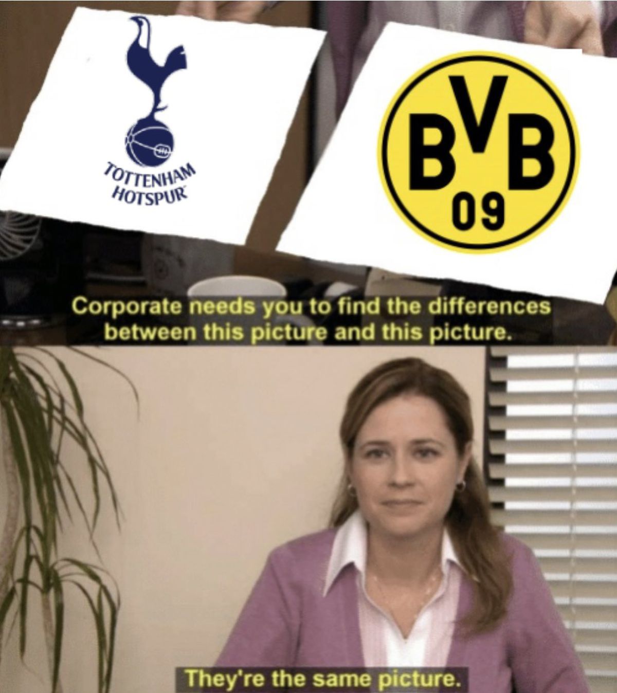 Borussia Dortmund - Mainz - meme