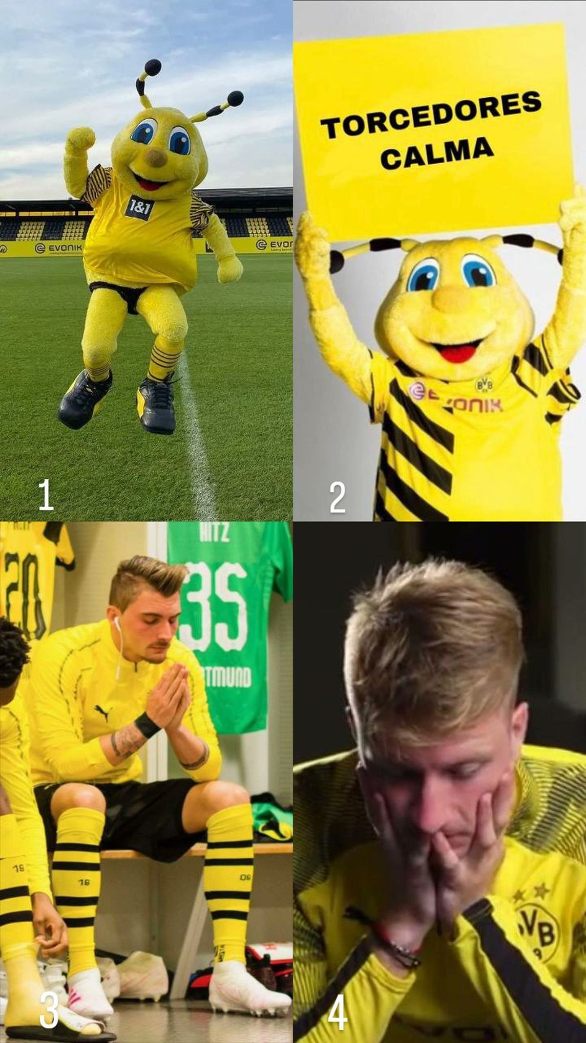Borussia Dortmund - Mainz - meme