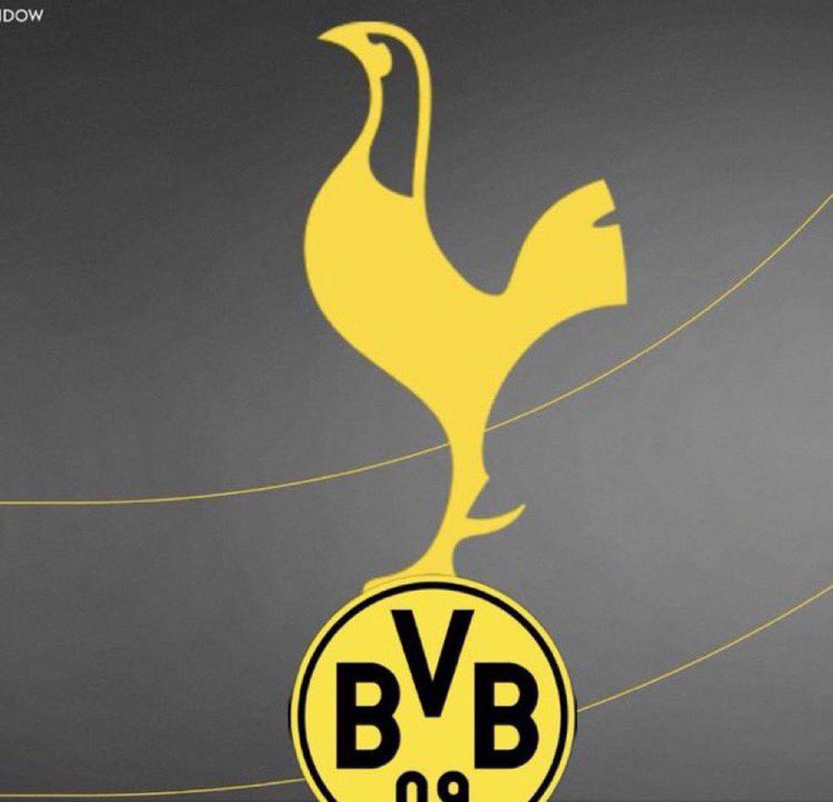 Borussia Dortmund - Mainz - meme