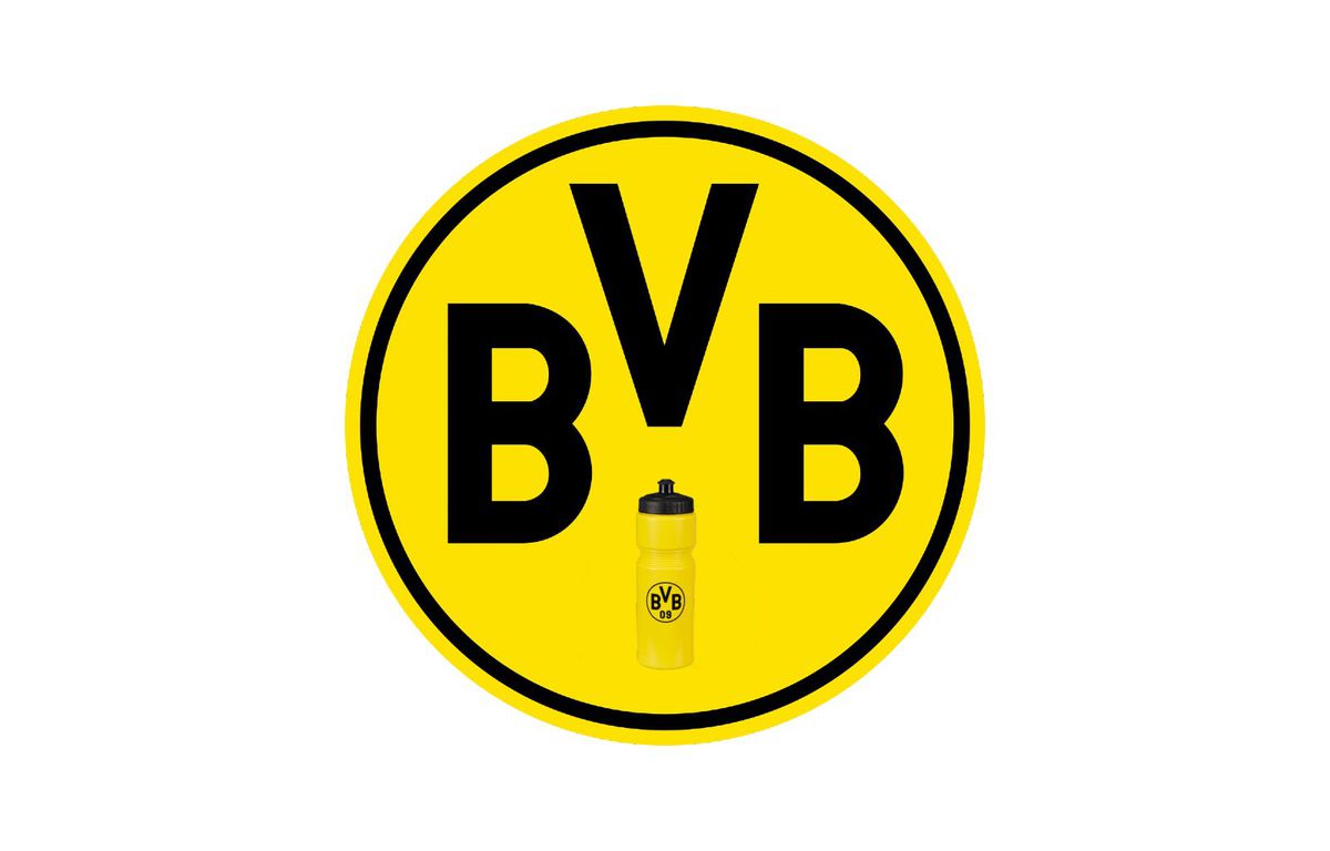 Borussia Dortmund - Mainz - meme