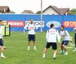 Cum a apărut Nicolae Stanciu la Mogoșoaia, înainte de EURO 2024 » Imagini de la antrenamentul României de azi