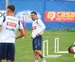 Jucătorii echipei naționale, prima ședință de pregătire înainte de ultimele teste premergătoare turneului final din Germania FOTO Ionuț Iordache (GSP.RO)