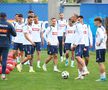 Cum a apărut Nicolae Stanciu la Mogoșoaia, înainte de EURO 2024 » Imagini de la antrenamentul României de azi
