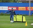 Cum a apărut Nicolae Stanciu la Mogoșoaia, înainte de EURO 2024 » Imagini de la antrenamentul României de azi
