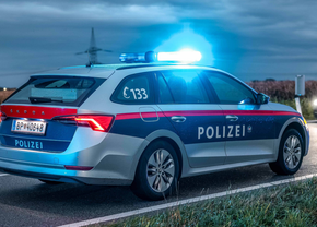 Zidar român, condamnat la închisoare în Austria pentru 800 euro furați dintr-un bar, deși avea un salariu de 4.000 euro. Ce scuză i-a găsit avocatul