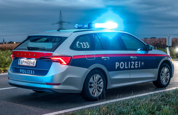 Zidar român, condamnat la închisoare în Austria pentru 800 euro furați dintr-un bar, deși avea un salariu de 4.000 euro. Ce scuză i-a găsit avocatul