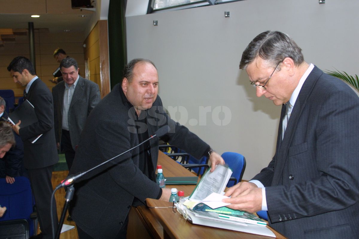 Gheorghe Stefan - Prietenii lui Ovidiu