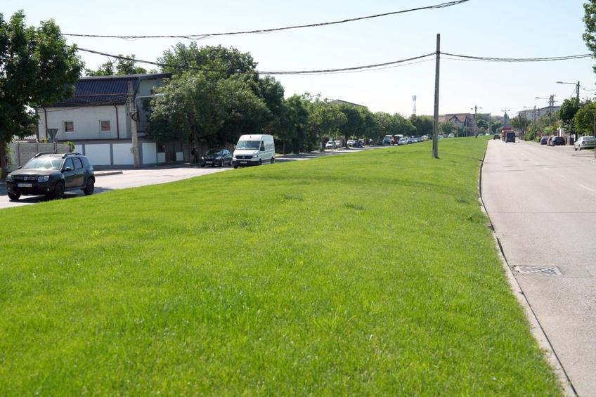 Vechiul gazon de pe stadionul „Ion Oblemenco” a ajuns pe un bulevard din Craiova // FOTO: Facebook