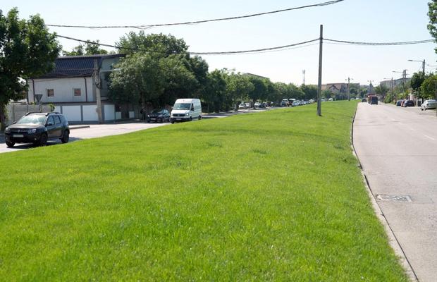 Unde e acum gazonul pe care Craiova a luat titlul: „Moment important”