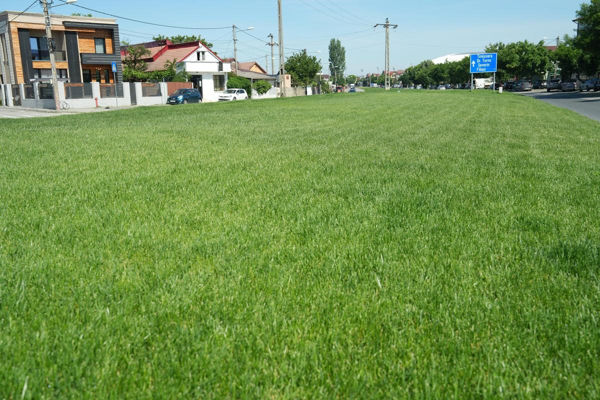 Unde e acum gazonul pe care Craiova a luat titlul: „Moment important”
