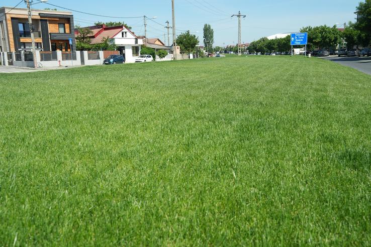 Gazonul pe care Universitatea Craiova a câștigat titlul a ajuns pe un bulevard din oraș // FOTO: Facebook