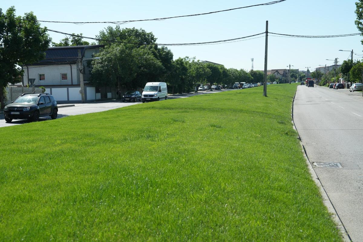 Gazonul pe care Universitatea Craiova a câștigat titlul a ajuns pe un bulevard din oraș