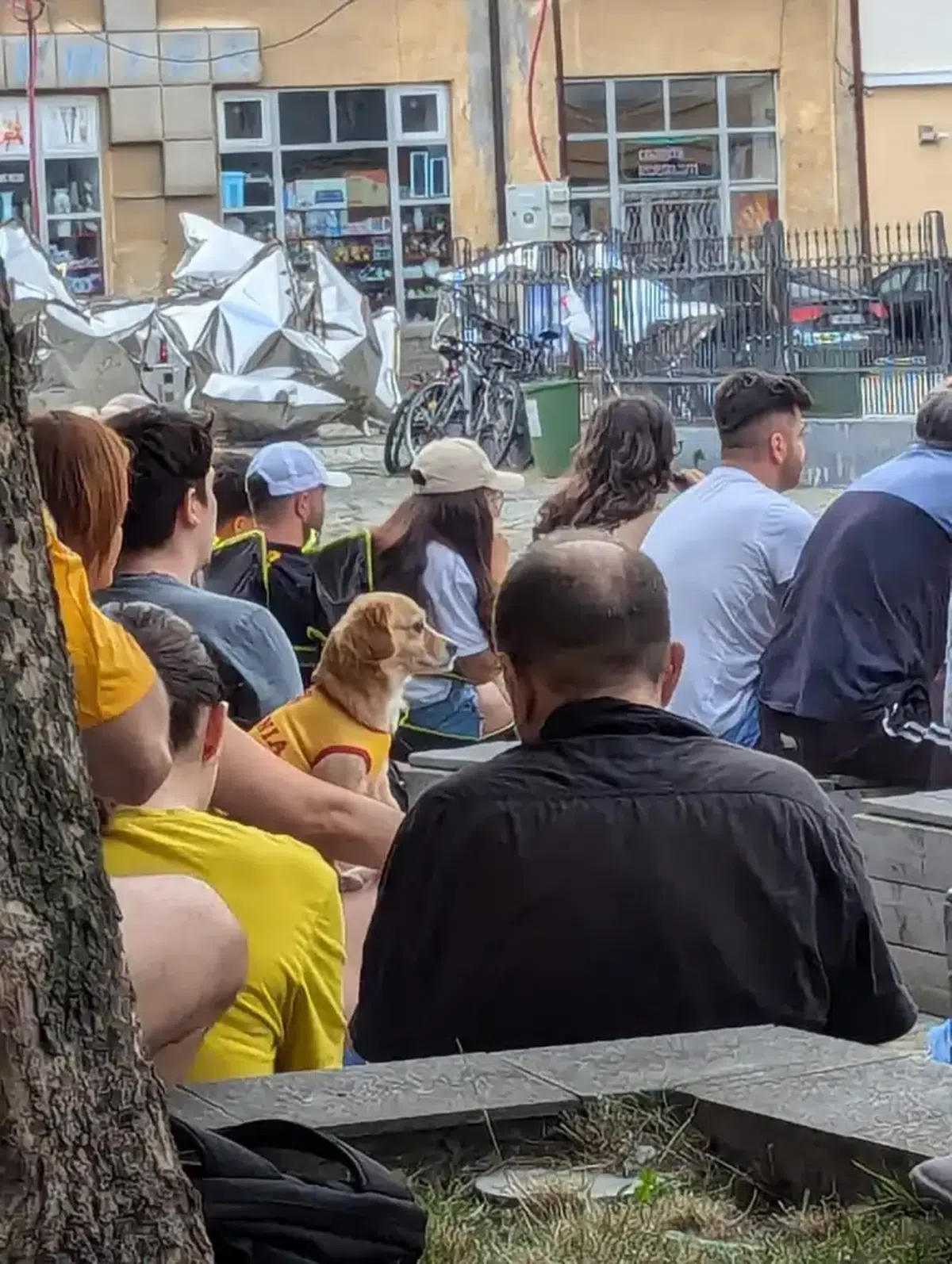 Bucurie în toată țara, după calificarea României în optimile EURO 2024