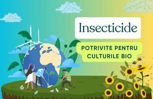 Insecticide potrivite pentru culturile bio