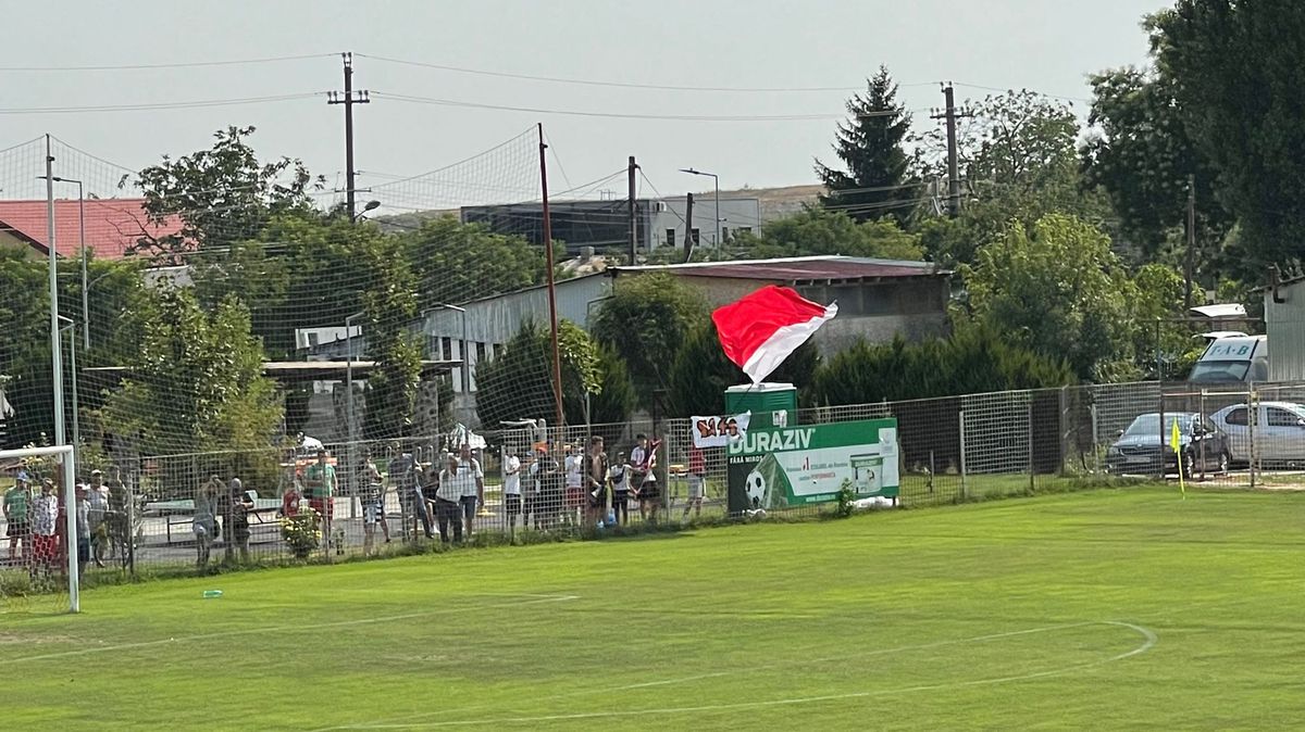 SC Popești Leordeni - Dinamo