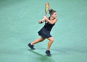 O fotografie remarcabilă cu o jucătoare de top de la US Open face înconjurul lumii