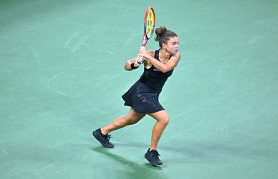 O fotografie remarcabilă cu o jucătoare de top de la US Open face înconjurul lumii