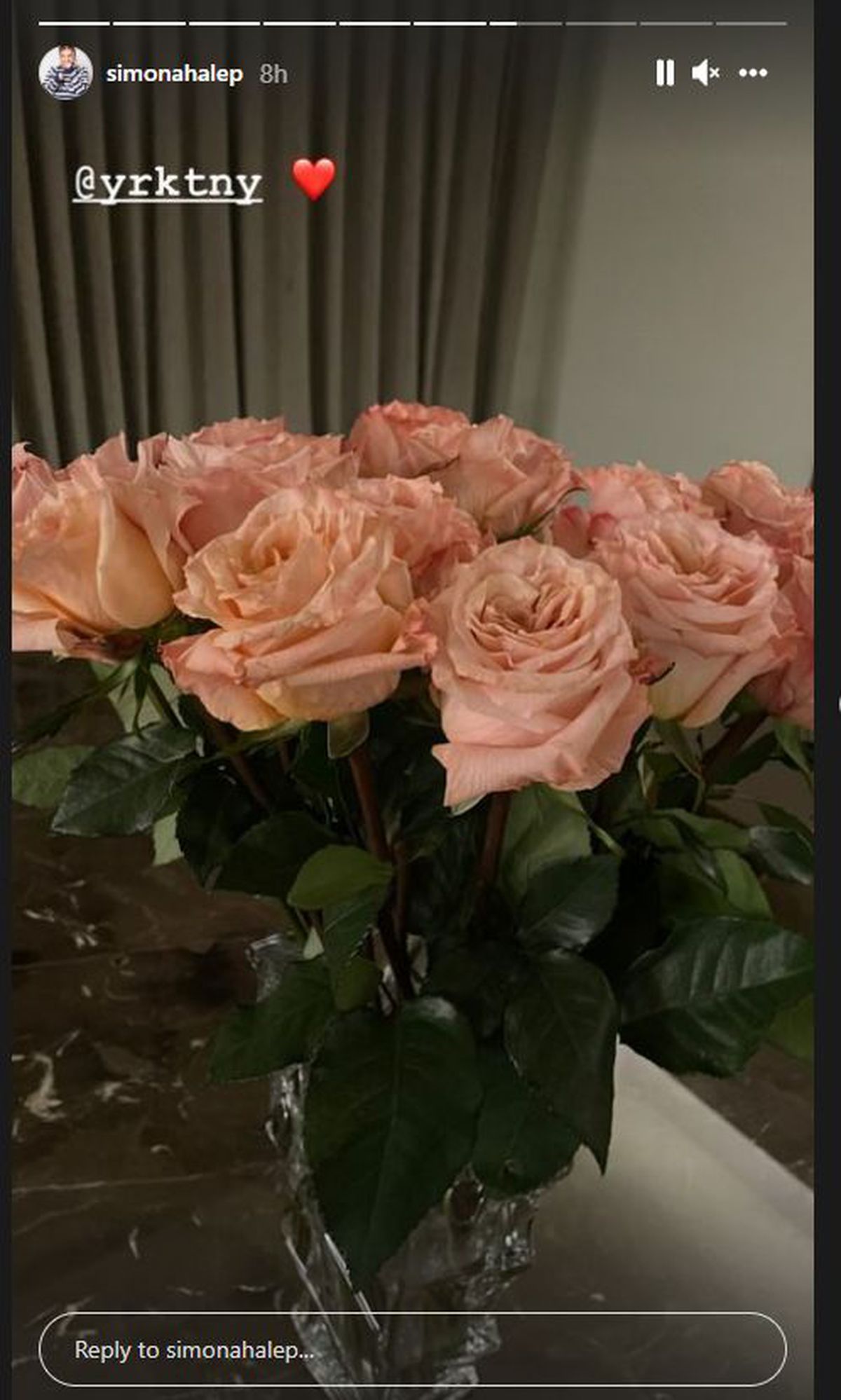 Surpiza lui Toni Iuruc de ziua Simonei Halep