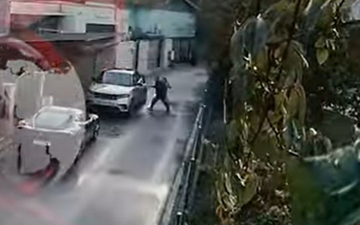 Noi imagini cu bătaia dintre Anamaria Prodan și Reghecampf