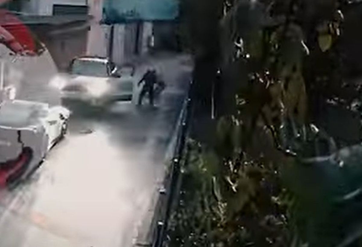 Noi imagini cu bătaia dintre Anamaria Prodan și Reghecampf » De la ce a plecat totul